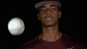 Littlerockbsb2021 GIF by Little Rock Athletics