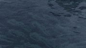 art swimming GIF by hateplow