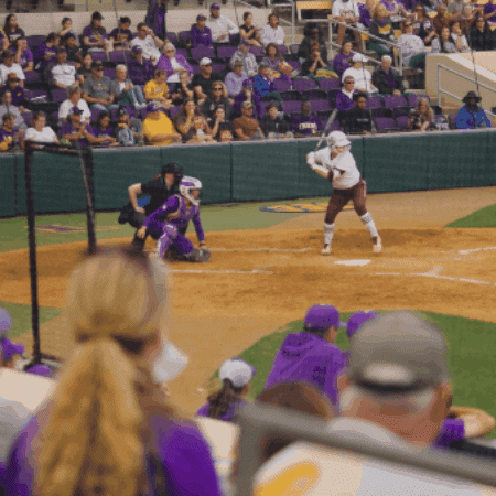 Ncaa Softball GIF by LSU Tigers