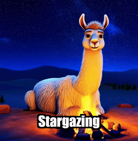 Stargazing Camping GIF by dalaillamazen