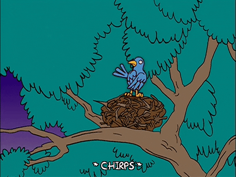 episode 11 GIF