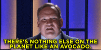 Andy Richter Avocado GIF by Team Coco