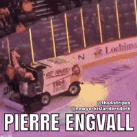 New York Islanders Hockey GIF