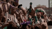 New Orleans Hbo GIF