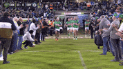 Nrl Green Machine GIF by Canberra Raiders