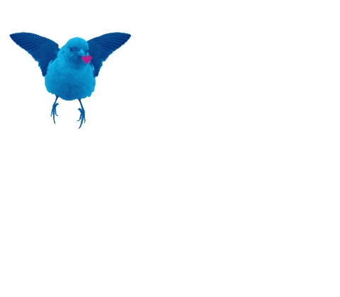 eventodigietal giphyupload twitter marketing digital pernambuco Sticker