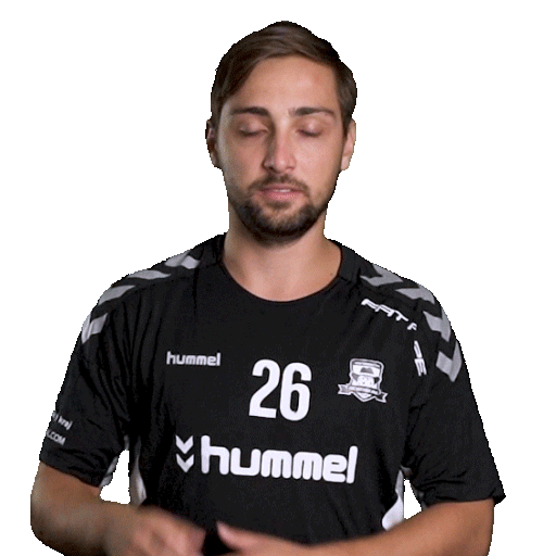hattrick-brno sport floorball salibandy innebandy Sticker