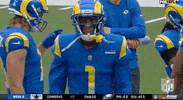 Los Angeles Rams Football GIF by NFL