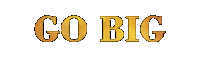 Go Big New York Sticker by Def Jam Recordings
