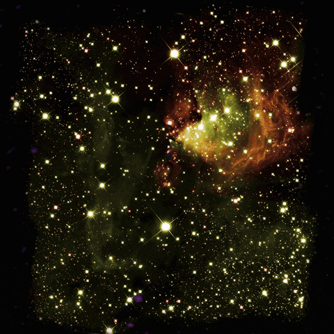 renatomota94b7 giphyupload GIF