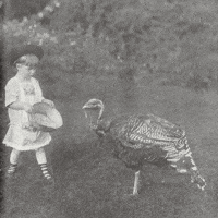 Thanksgiving Eating GIF