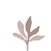 Plant Grow Sticker