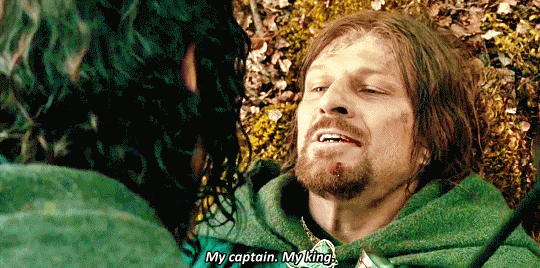 CiriAshenOne giphyupload the lord of the rings boromir GIF