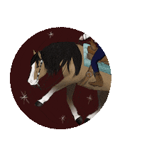 Cowboy Reining Sticker by winterlichtmalerei