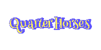 buy-a-picture rrmth baptext quarter horses Sticker