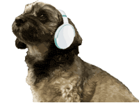 Dog 犬 Sticker by SUSU by Ikkyu Nakajima