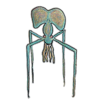 Dance Explore Sticker