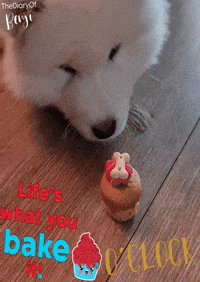Doit GIF