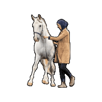 snuitable dressage horsetraining lusitano dressuur Sticker