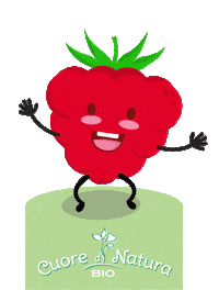 cuoredinatura lampone cuore di natura bio piccoli intenditori omogeneizzati Sticker