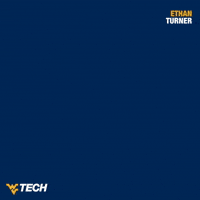 Baseball Ethan Turner GIF by WVU Tech Golden Bears