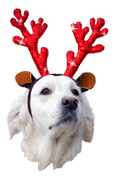 Merry Christmas Sticker by Western University