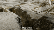 Rolling Bbc GIF by PBS