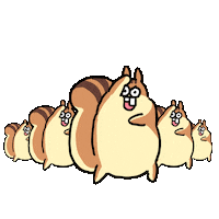 Dance Squirrel Sticker by jessoosketch