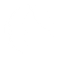 Drone Agro Sticker by Tonicerealista