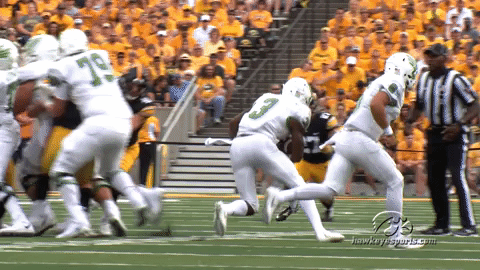 Iowa Hawkeyes Football GIF by University of Iowa Hawkeyes Athletics