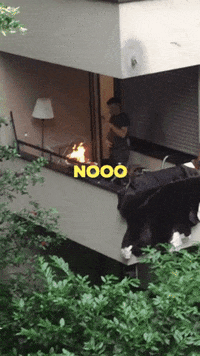 Fire Burning GIF by Sibylle Berg