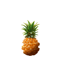 pineapple mergui Sticker by Guy Trefler