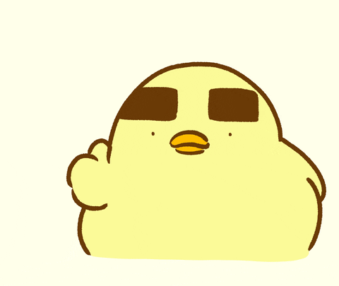 Happy Bird GIF by foodieg