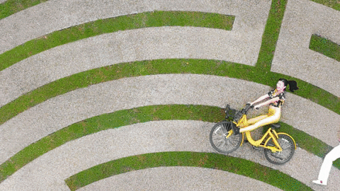 chickenny giphygifmaker GIF