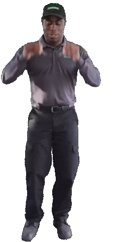 Lets Go Sunglasses Sticker by Terminix