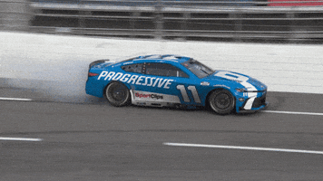 Denny Hamlin Celebration GIF by NASCAR