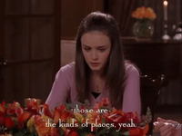 season 3 netflix GIF by Gilmore Girls 
