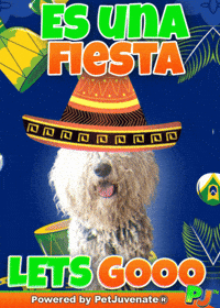 Love Rescue Dogs GIF by PetJuvenate