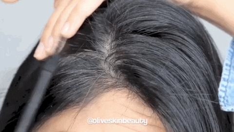 366 GIF