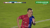 CanalPremiere brasileiro parana brasileirao serie b GIF