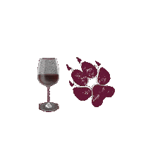 Happy Hour Love Sticker by Schwaderer Wines