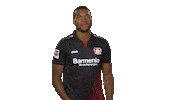 bayer leverkusen hello Sticker by Bundesliga