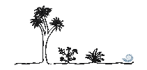 Summer Illustration Sticker by St Michaels Resort