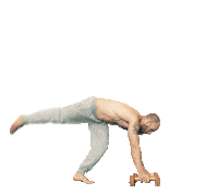 Handstand Push Up Sticker by Hold Calistenia
