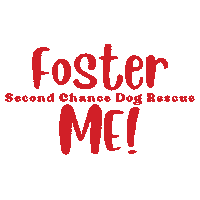 Rescue Dog Sticker by Second Chance Dog Rescue