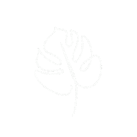 Leaf Monstera Sticker