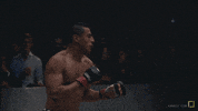 sport ko GIF by Karate Combat