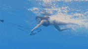 GIF by Luv Films