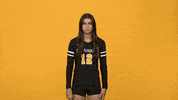 Sport College GIF by Cal State LA Golden Eagles