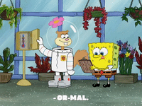 season 8 episode 13 GIF by SpongeBob SquarePants
